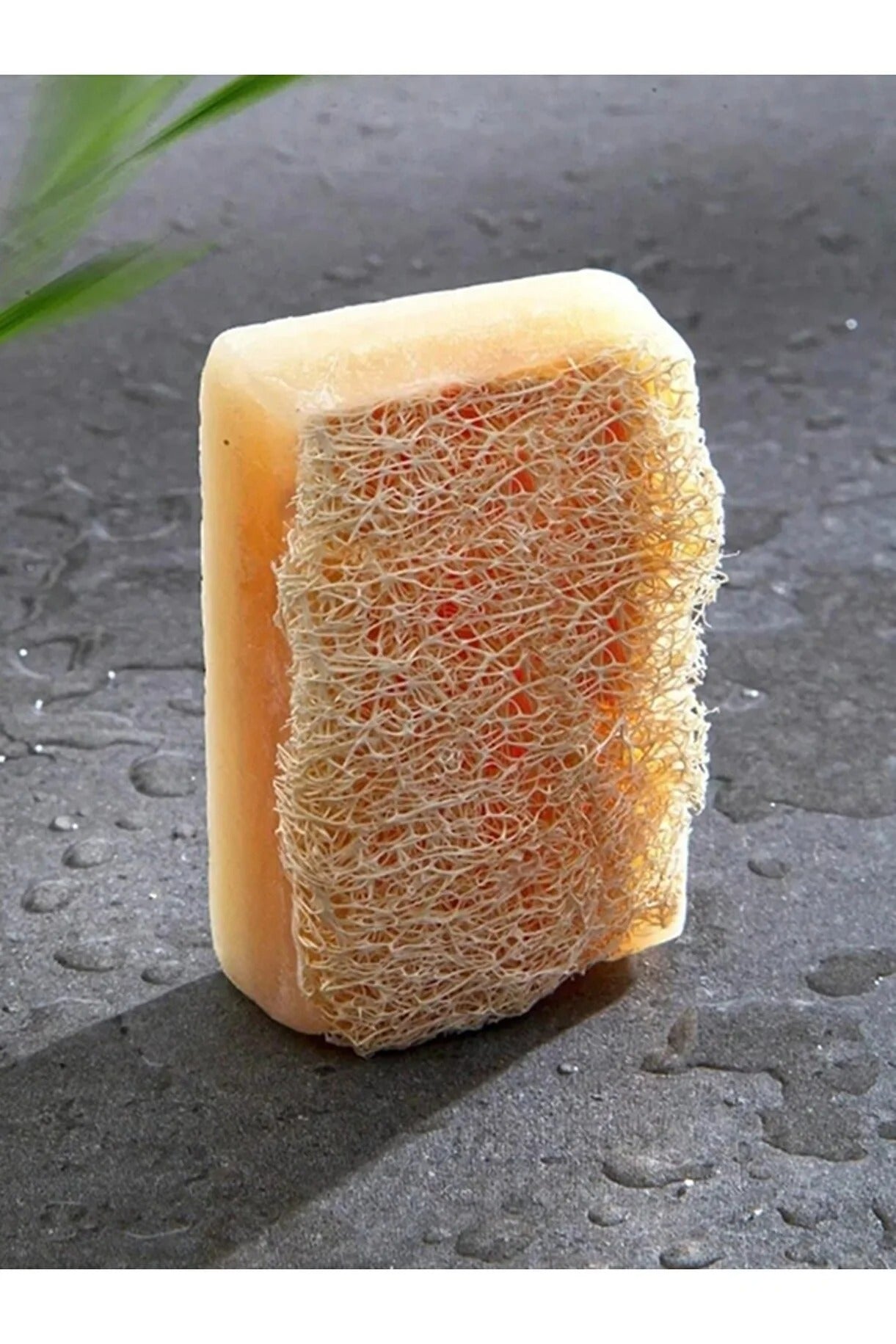 COREVA Doğal Kabak Lifli Prinç Özlü Sabun